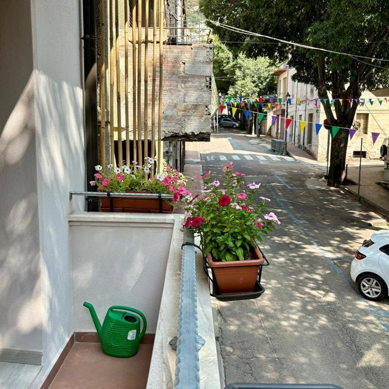 Casa Del Corso Hotel Dorgali Ngoại thất bức ảnh