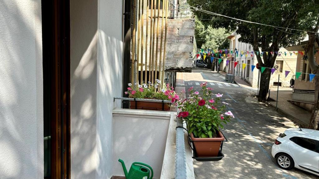 Casa Del Corso Hotel Dorgali Ngoại thất bức ảnh